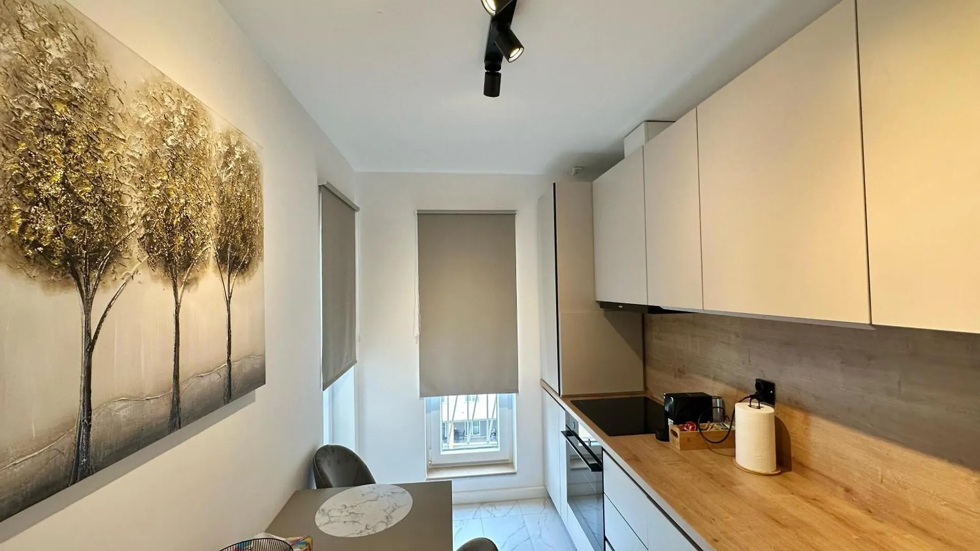 Yuva Apartment Cosmopolis Tunarii 罗马尼亚